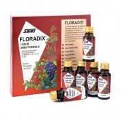 Power Health Floradix 10x20 ml