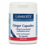 Lamberts Ginger 120mg 60caps