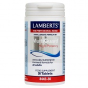 Lamberts Multi Guard One Daily 30tabs