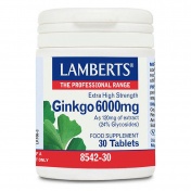 Lamberts Ginkgo Biloba Extract 6000mg 30tabs