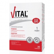 Vital Plus Q10 30 Lipidcaps